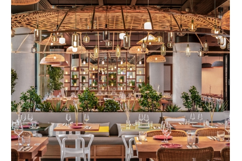  深圳的餐飲家具批發(fā)廠家，餐桌椅子批發(fā)市場在哪里？